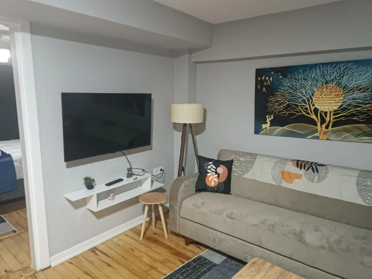 Disa Hotel & Apart Κωνσταντινούπολη 0*,  Τουρκία