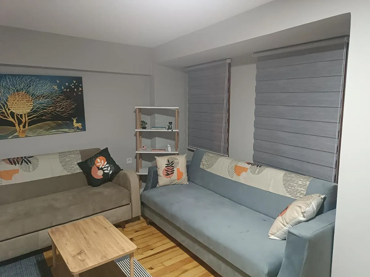 Disa Hotel & Apart Κωνσταντινούπολη 0*,  Τουρκία