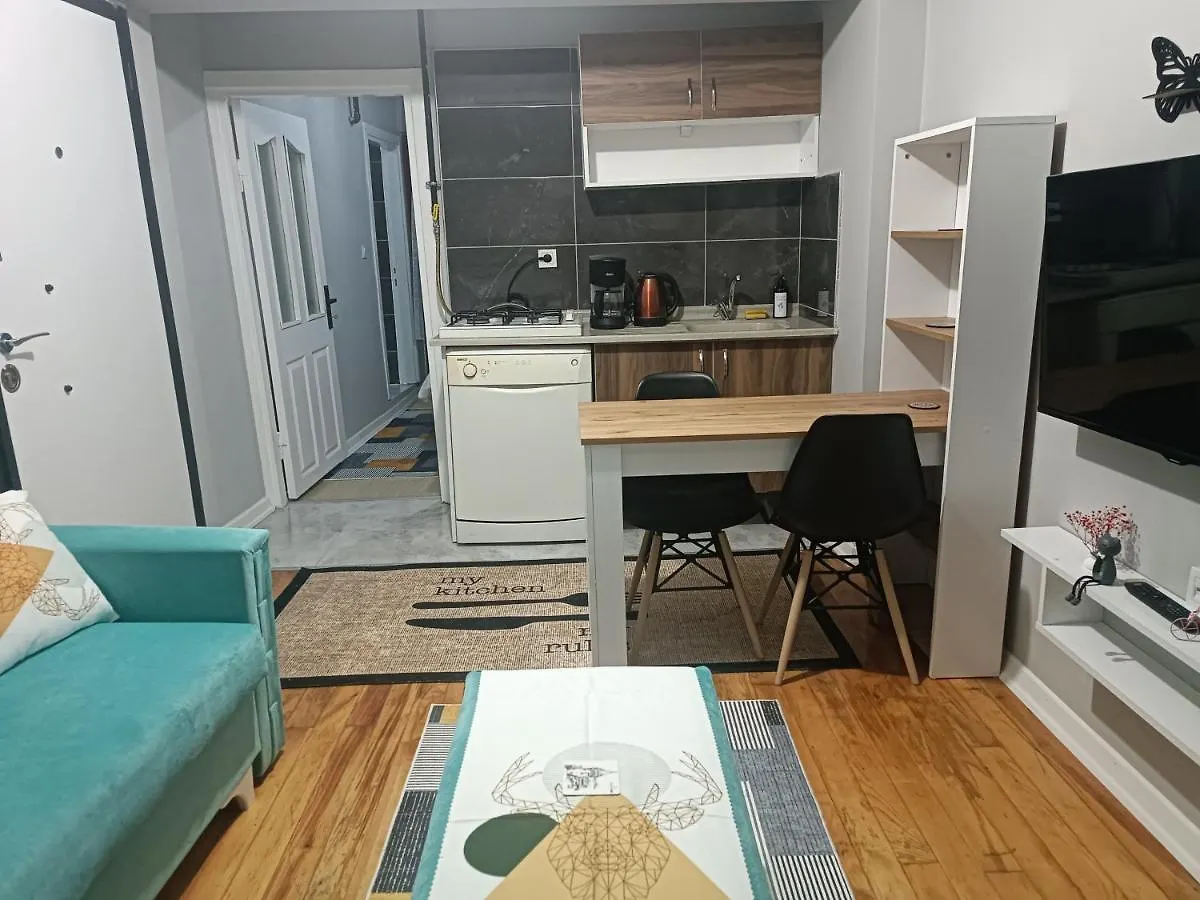 Disa Hotel & Apart Istanbul Apartment